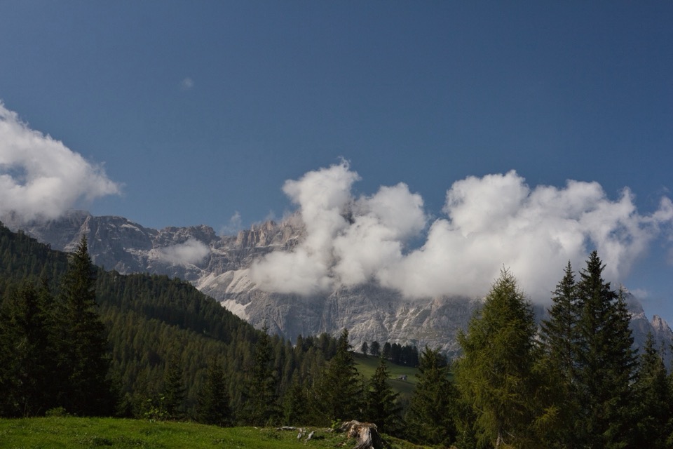 Blick von den Rotwandwiesen auf die Sextner Dolomiten mit den Drei Zinnen im Hintergrund, Almwiesen im Vordergrund