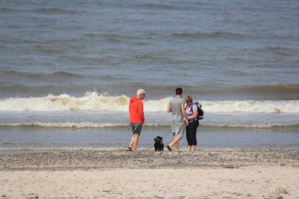 Spaziergänger mit Hund am Wellensaum eines Sandstrands