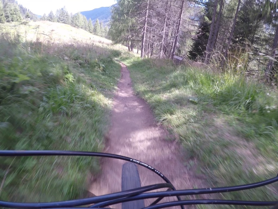 Schmaler Singletrail durch lichten Nadelwald, Blick vom Mountainbike aus
