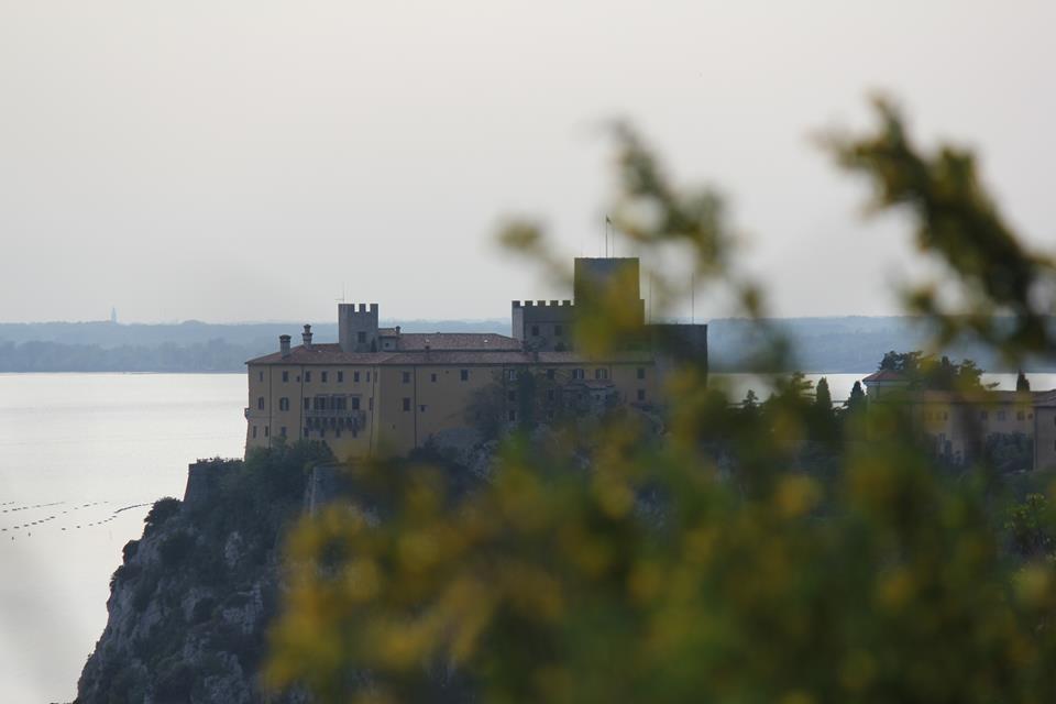 Schloss Miramare auf einer Landzunge bei Triest, durch Blätter fotografiert