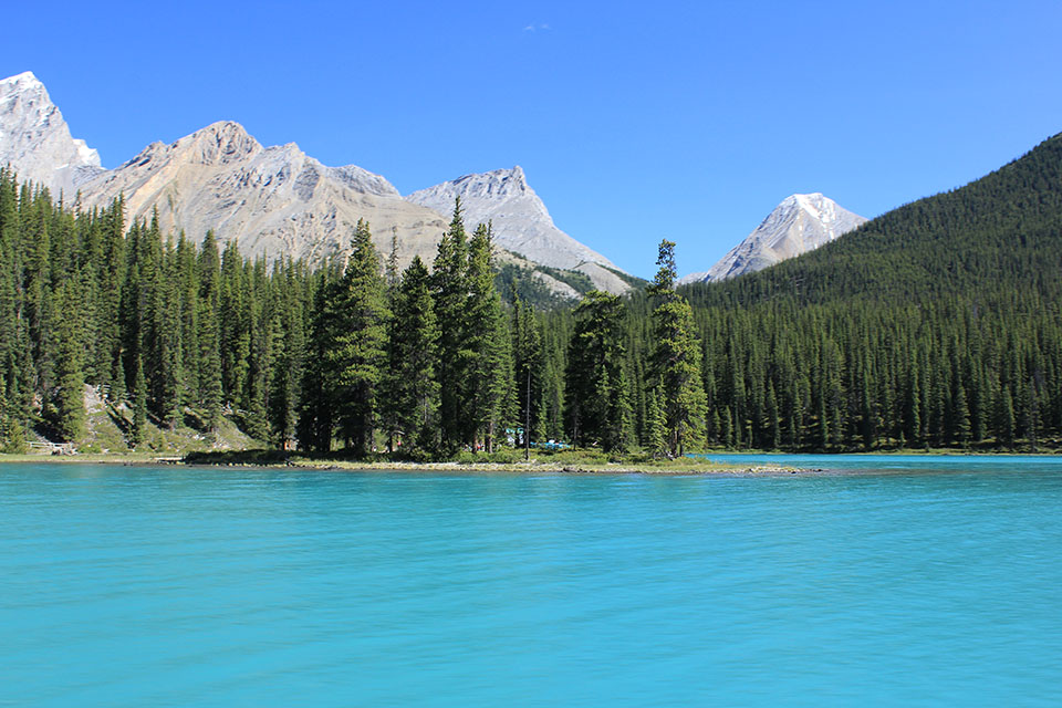 Kleine bewaldete Insel im türkisfarbenen Wasser des Maligne Lake