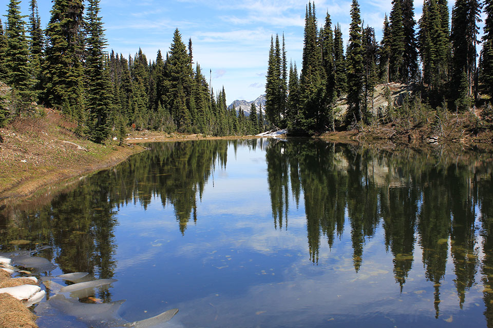 Kleiner Bergsee mit Baumspiegelung auf dem Mt. Revelstoke