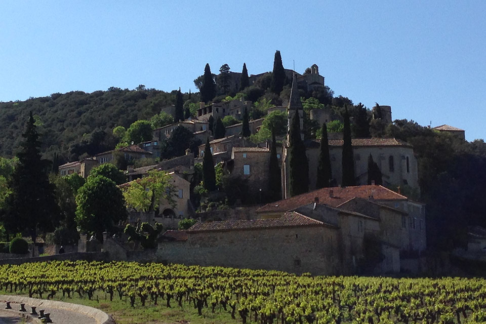 Provenzalisches Hügeldorf mit Weinbergen im Vordergrund, Ardèche